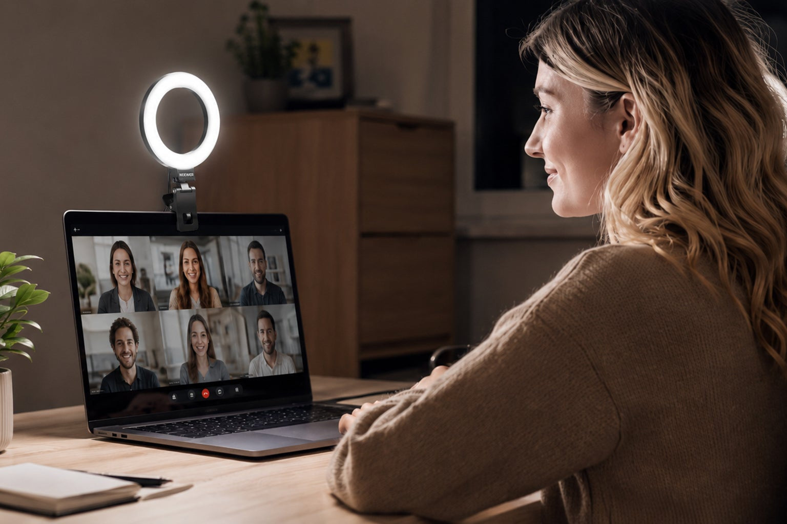 Video Conference Lights