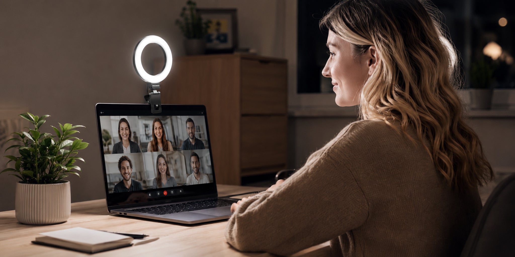 Video Conference Lights