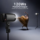 120Ws NEEWER studio outdoor flash light boasts high brightness lighting with 5600K