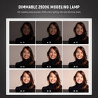 Each monolight features 400Ws maximum power and 5600K color temperature