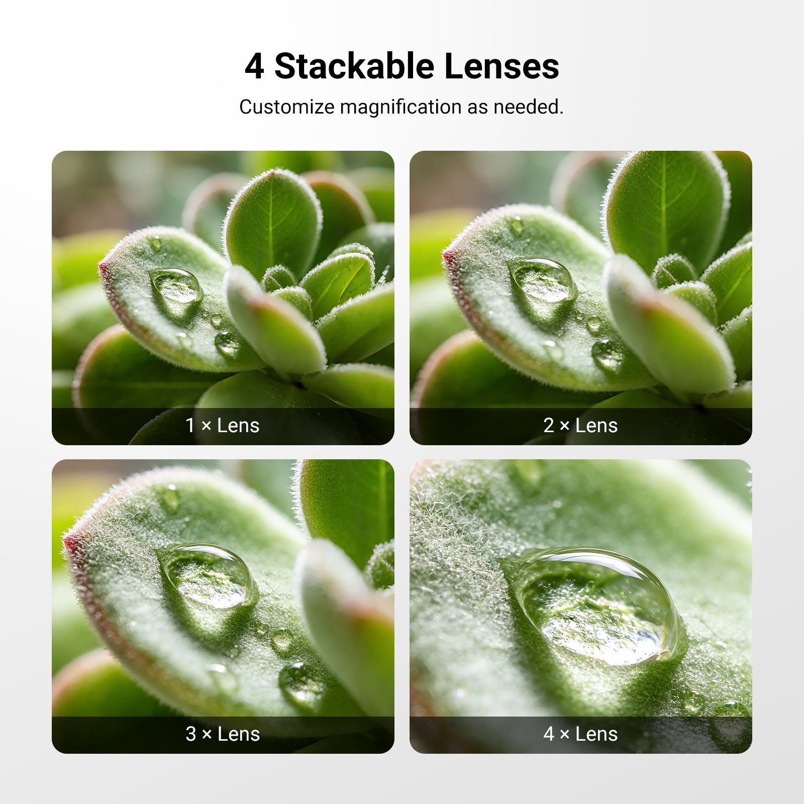 Magnetically stack these phone camera lenses for greater magnification.