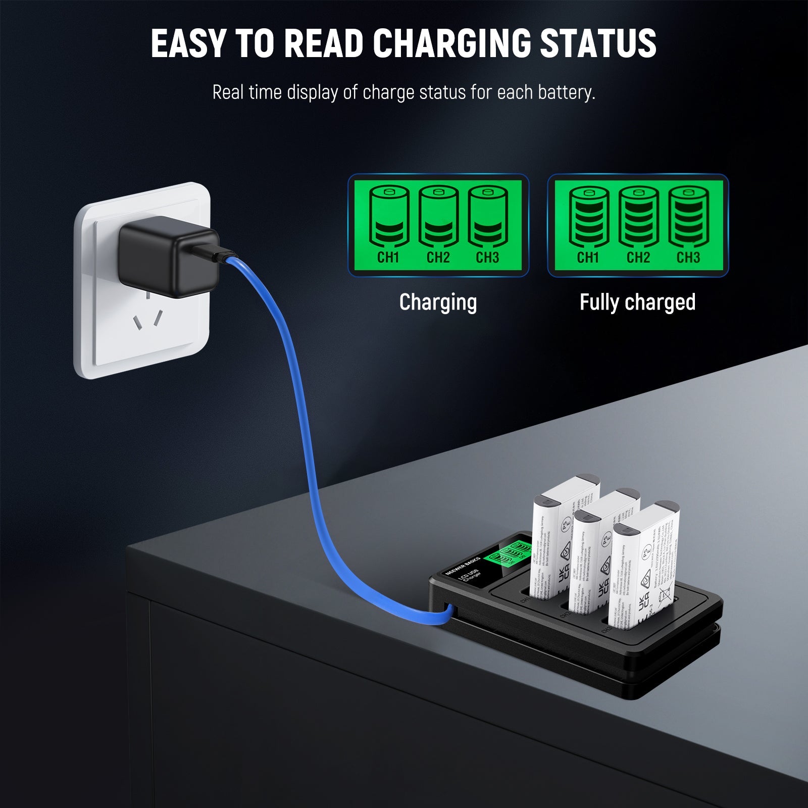 NEEWER BASICS NP-BX1 Replacement Battery Charger Kit for Sony