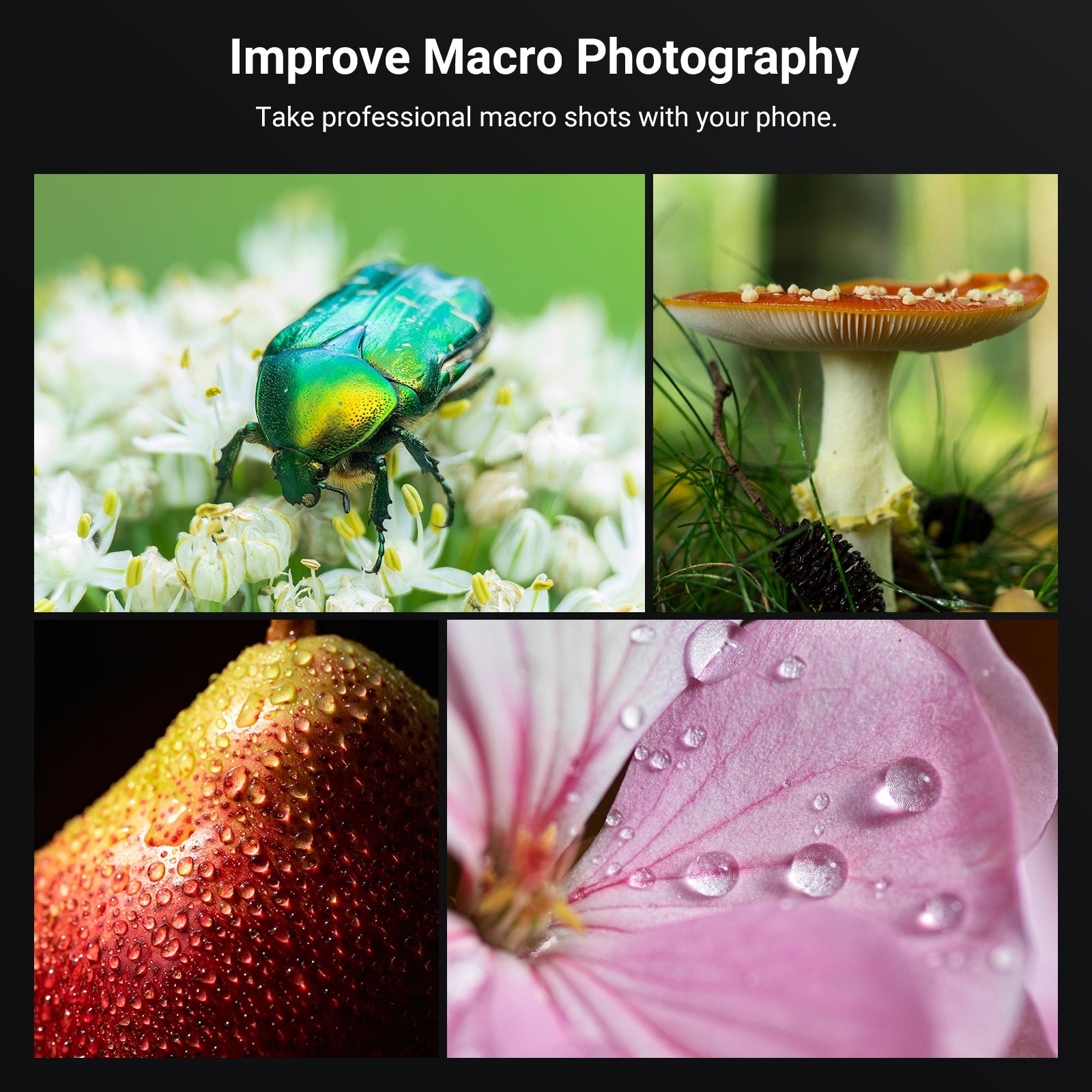 NEEWER LS-87 4 Pack Phone Macro Lens with Lens Clip Kit improves your macro shots.